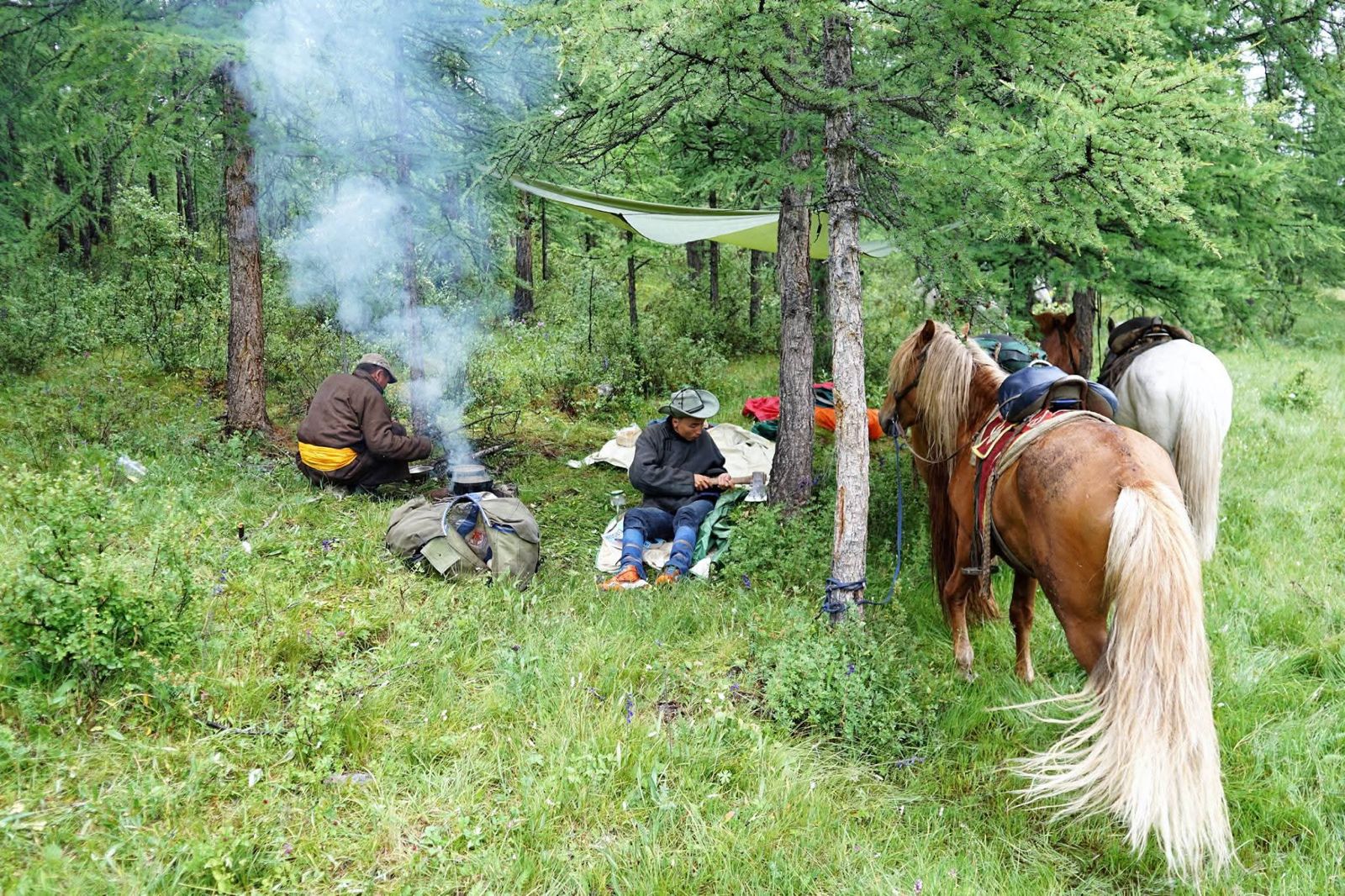 WhatsApp Image 2025 12 01 at 8.01.05 PM