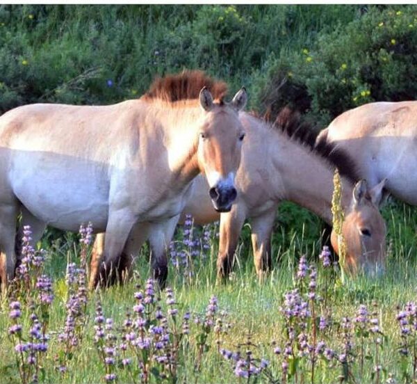 WhatsApp Image 2025-12-06 at 4.15.09 PM