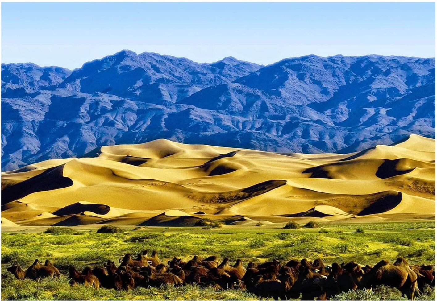 WhatsApp Image 2025 12 06 at 4.15.10 PM e1765184565750