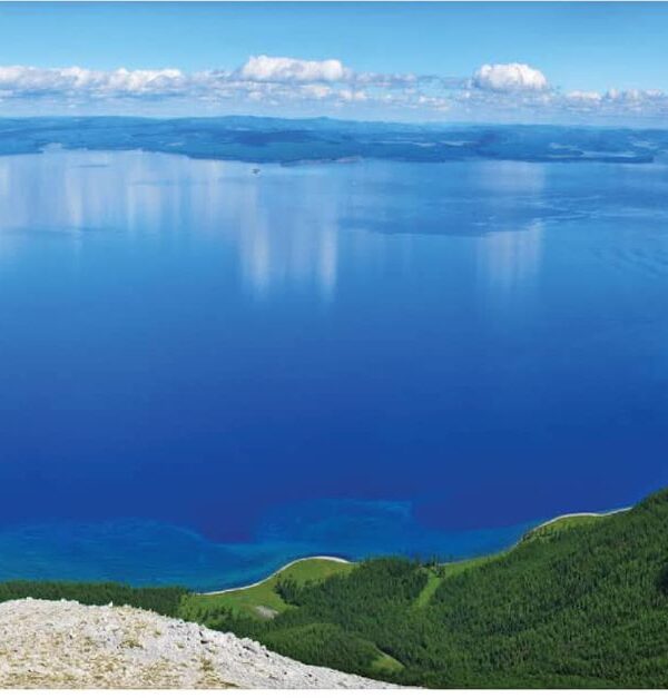 WhatsApp Image 2025-12-06 at 4.15.32 PM (2)